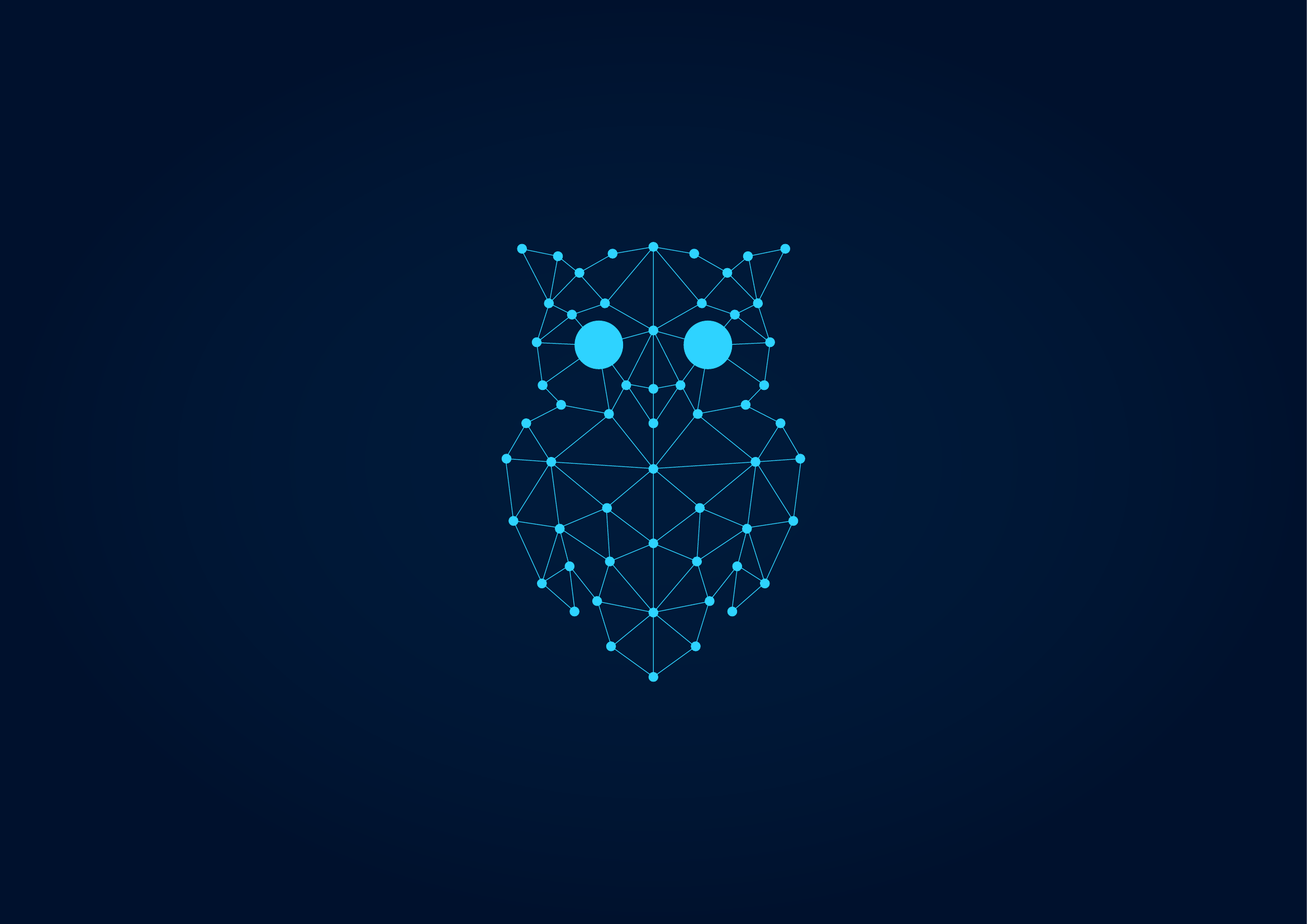 Owla Consulting Logo